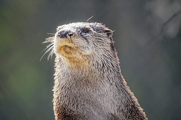Busch Wildlife-012