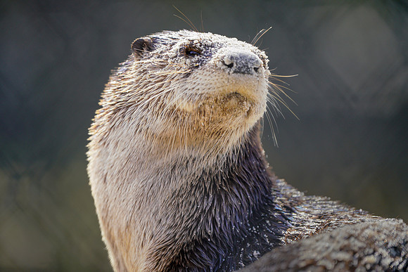 Busch Wildlife-014
