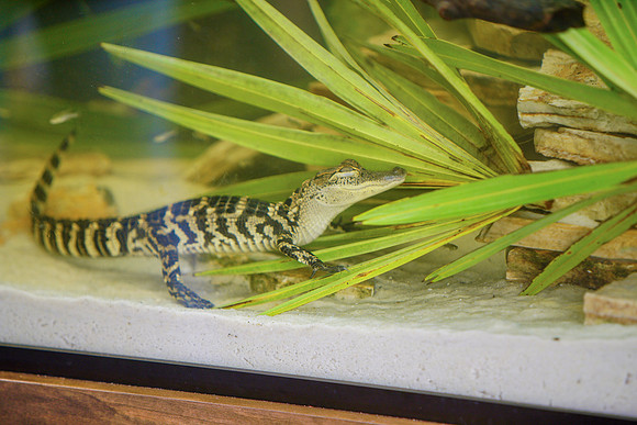 Busch Wildlife-021