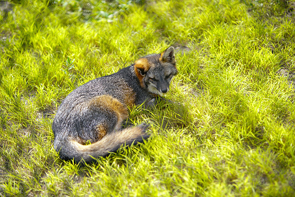 Busch Wildlife-027