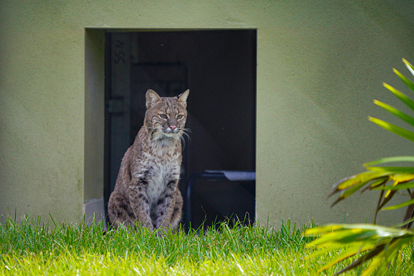 Busch Wildlife-030