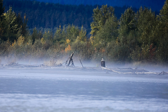Alaska Trip 2016-255
