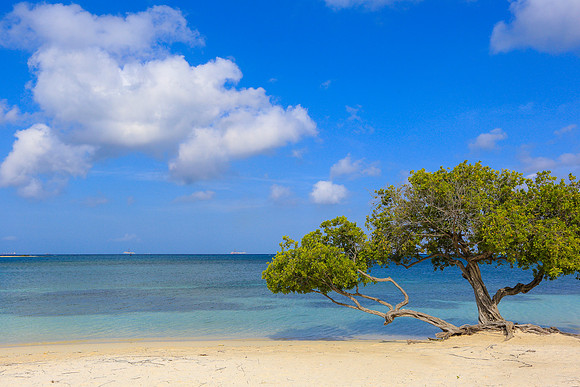 Aruba 2018-042