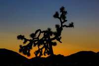 Landscapes