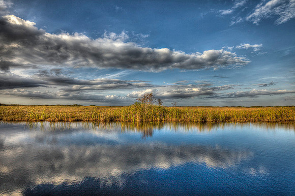 Everglades-082