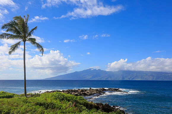 Ritz Maui-847