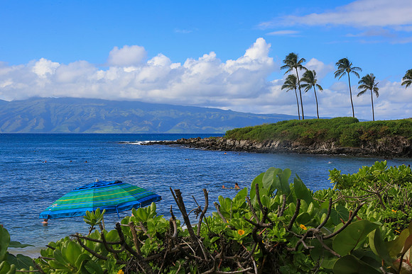 Ritz Maui-853
