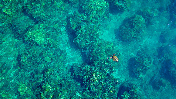 Ritz Maui-610