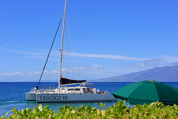 Ritz Maui-604
