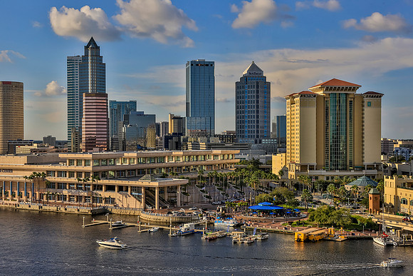 Tampa-083_1