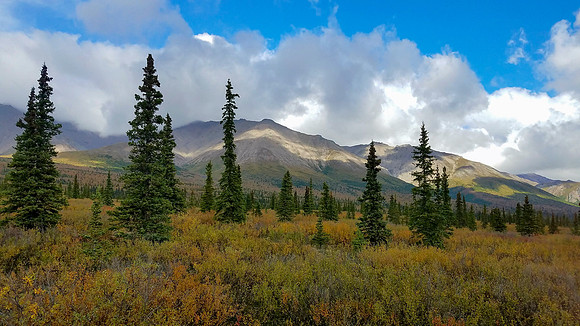 Alaska Trip 2016-428