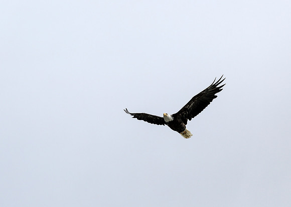 Alaska Trip 2016-277