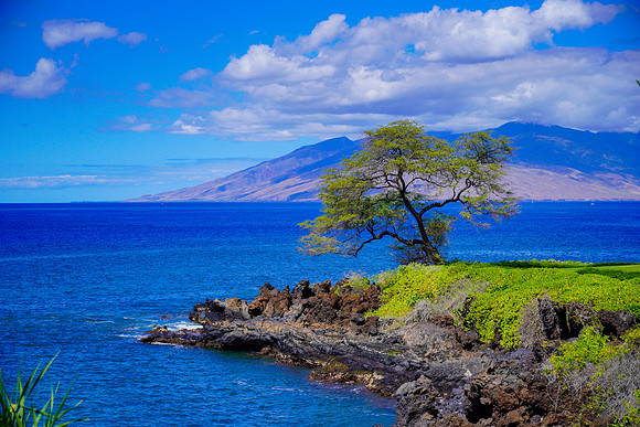 Water Pik Maui 2022-029