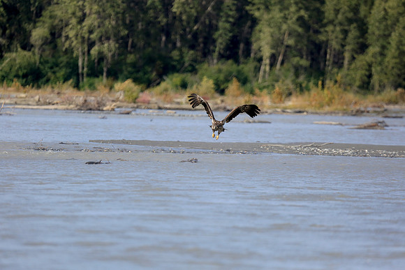 Alaska Trip 2016-266