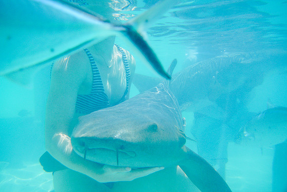 Bahamas-055