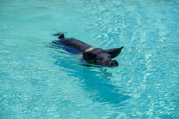 Bahamas-075