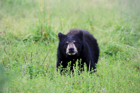 Alaska Trip 2016-319