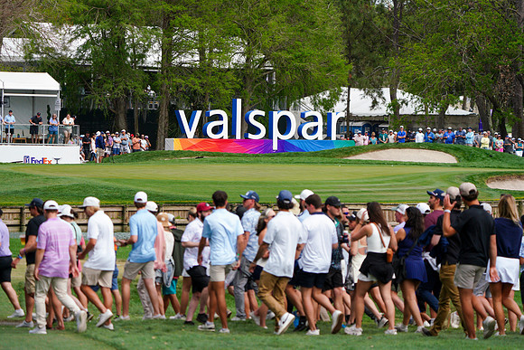 Valspar-590