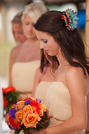 Wedding Photos