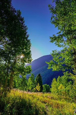 Aspen-050