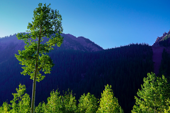 Aspen-048