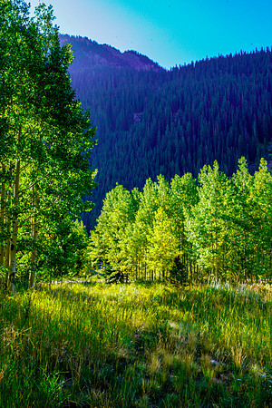 Aspen-053