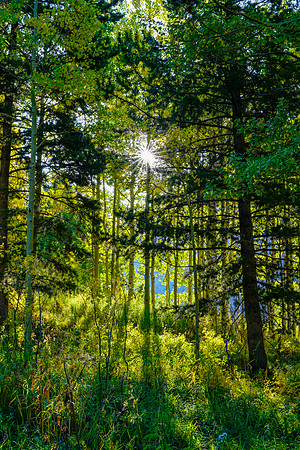 Aspen-046