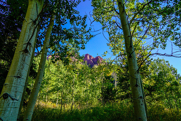 Aspen-049