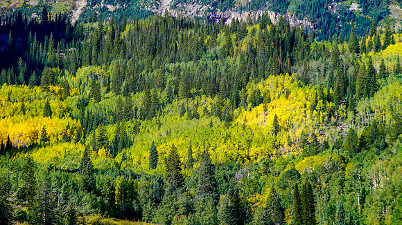 Aspen-068