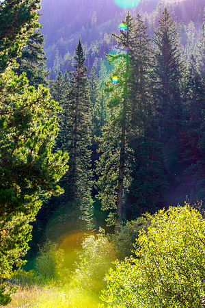 Aspen-071