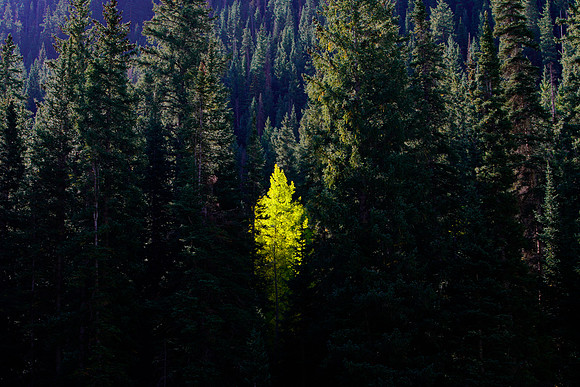 Aspen-072