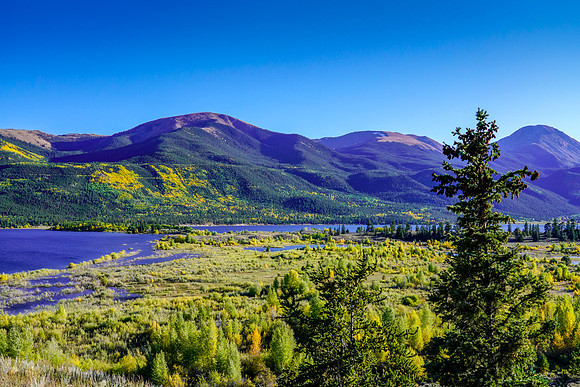 Aspen-087