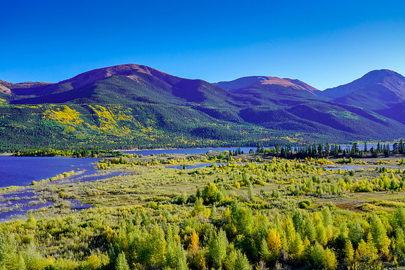 Aspen-089