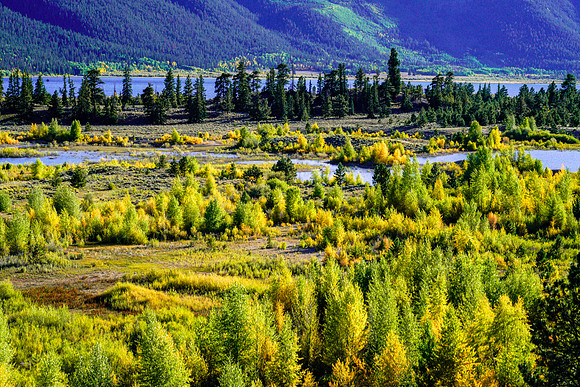 Aspen-090