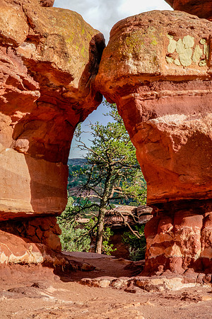 Denver 2019-019