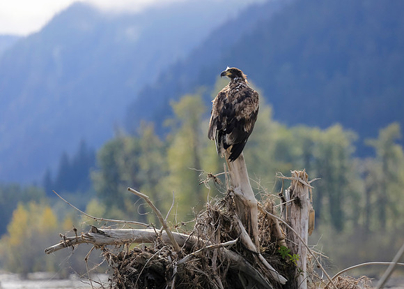 Alaska Trip 2016-272