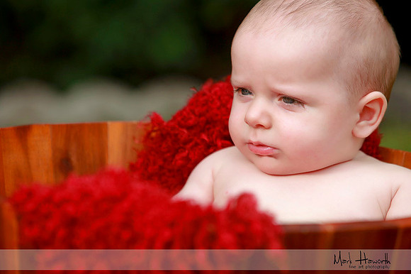 Baby portraits