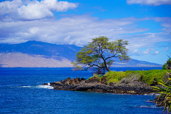 Water Pik Maui 2022-031