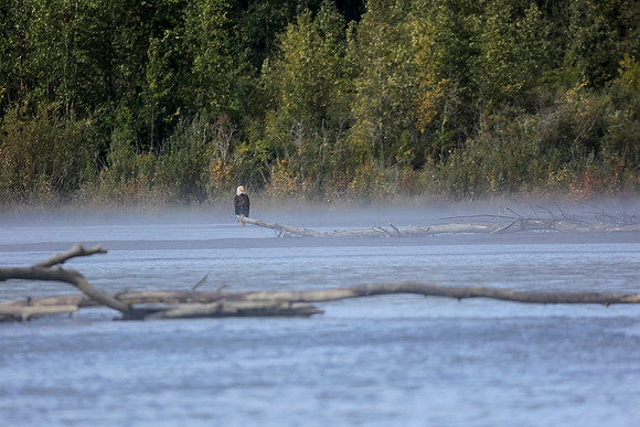 Alaska Trip 2016-256