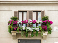 Rome-57