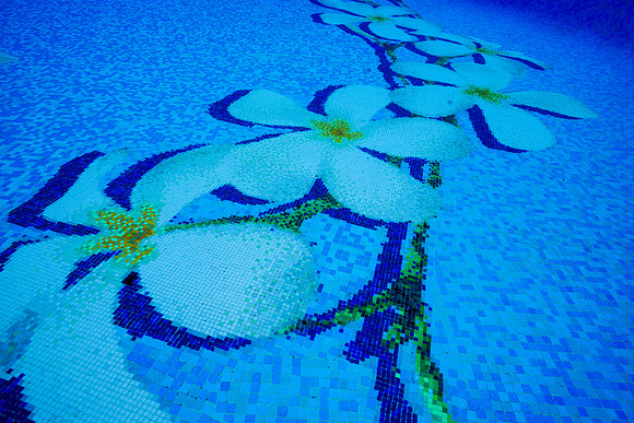 Water Pik Maui 2022-123