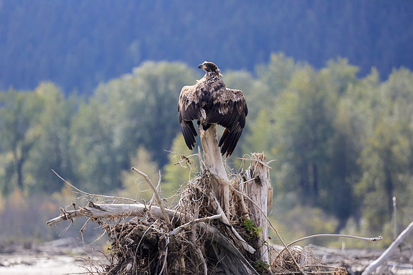 Alaska Trip 2016-273