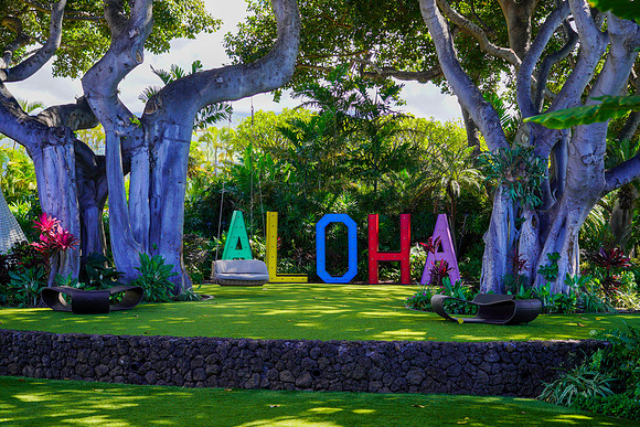 Water Pik Maui 2022-027