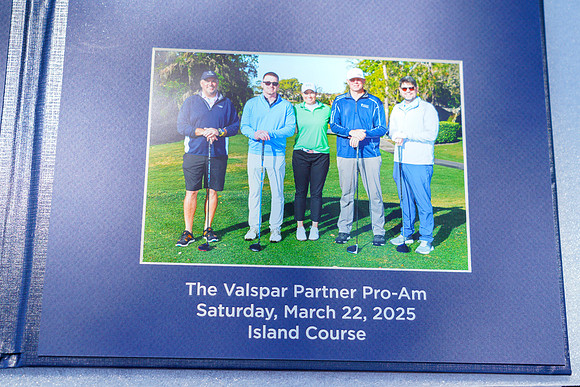Valspar-699