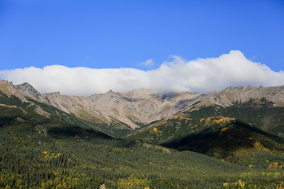 Alaska Trip 2016-466