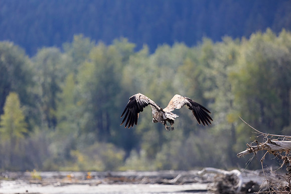 Alaska Trip 2016-275