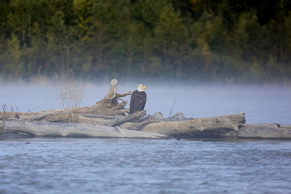 Alaska Trip 2016-263