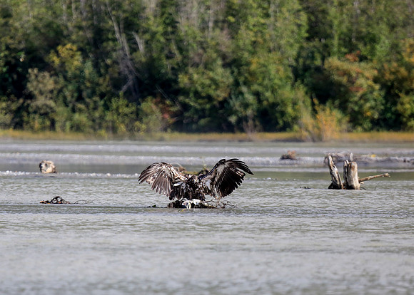 Alaska Trip 2016-267