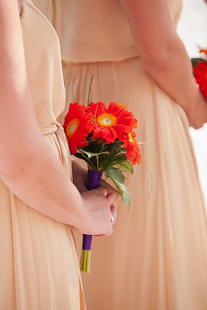 Wedding Photos