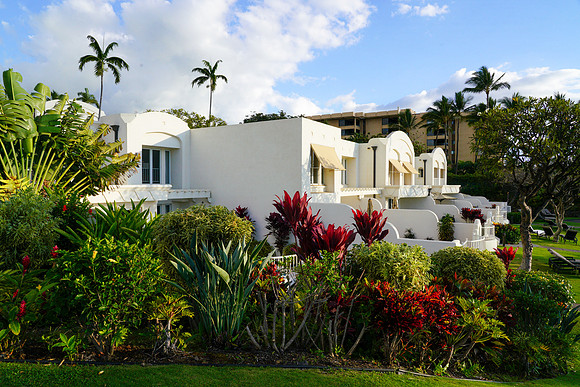 Water Pik Maui 2022-011